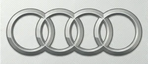 Идеальный двигатель Audi RS
